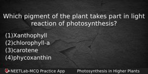Which Pigment Of The Plant Takes Part In Light Reaction Biology Question