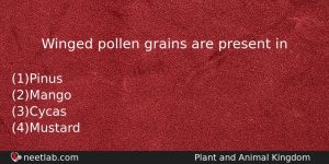 Winged Pollen Grains Are Present In Biology Question