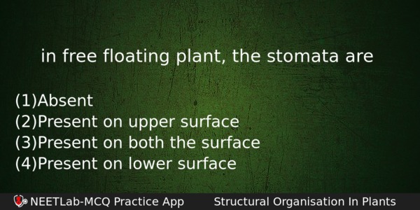 In Free Floating Plant The Stomata Are Biology Question 