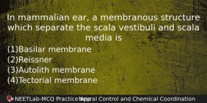In Mammalian Ear A Membranous Structure Which Separate The Scala Biology Question