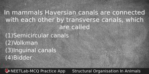 In Mammals Haversian Canals Are Connected With Each Other By Biology Question