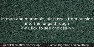In Man And Mammals Air Passes From Outside Into The Biology Question