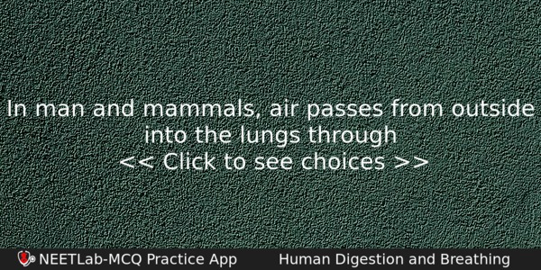 In Man And Mammals Air Passes From Outside Into The Biology Question 