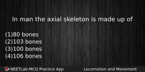 In Man The Axial Skeleton Is Made Up Of Biology Question