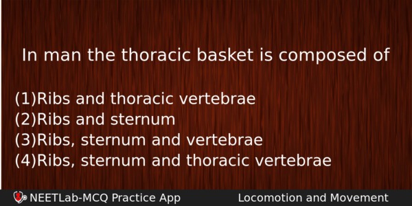In Man The Thoracic Basket Is Composed Of Biology Question 