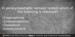 In Parasympathetic Nervous System Which Of The Following Is Released Biology Question