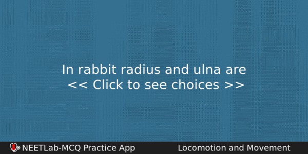 In Rabbit Radius And Ulna Are Biology Question 