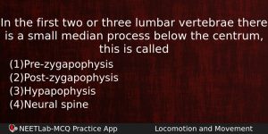 In The First Two Or Three Lumbar Vertebrae There Is Biology Question