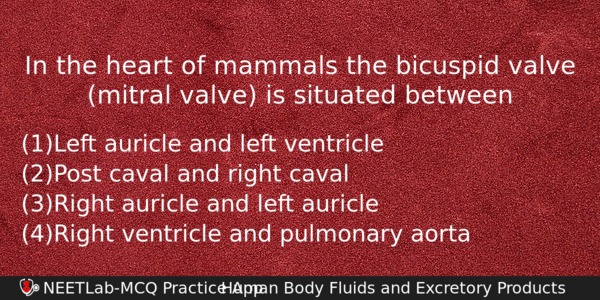 In The Heart Of Mammals The Bicuspid Valve Mitral Valve Biology Question 