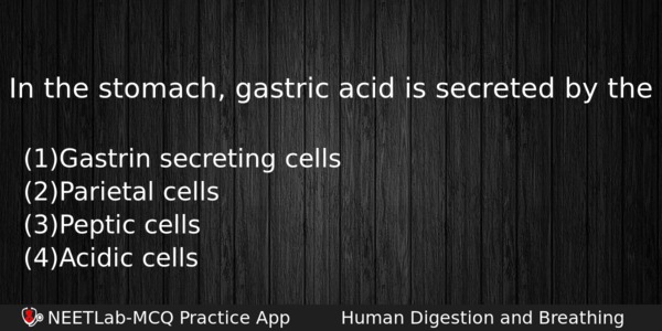 In The Stomach Gastric Acid Is Secreted By The Biology Question 