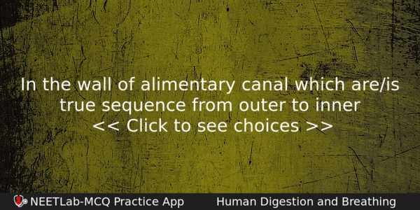 In The Wall Of Alimentary Canal Which Areis True Sequence Biology Question 