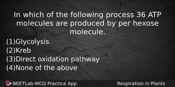 In Which Of The Following Process 36 Atp Molecules Are Biology Question 